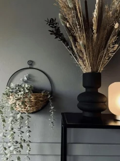 Hængeplante - Mint grøn