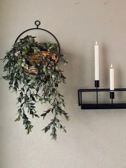 Hængeplante på stilk - No. 3