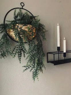 Hængeplante på stilk - No. 1