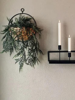 Hængeplante på stilk - No. 1