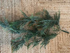 Hængeplante på stilk - No. 1