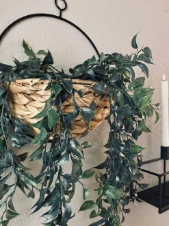 Hængeplante på stilk - No. 4