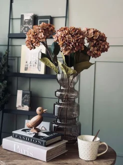 Hortensia - Brændte farver