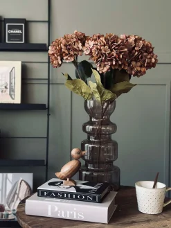 Hortensia - Brændte farver