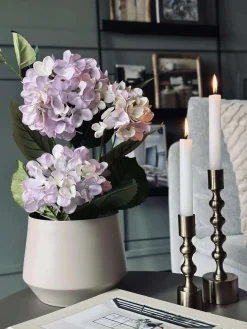 Hortensia i potte - Syren