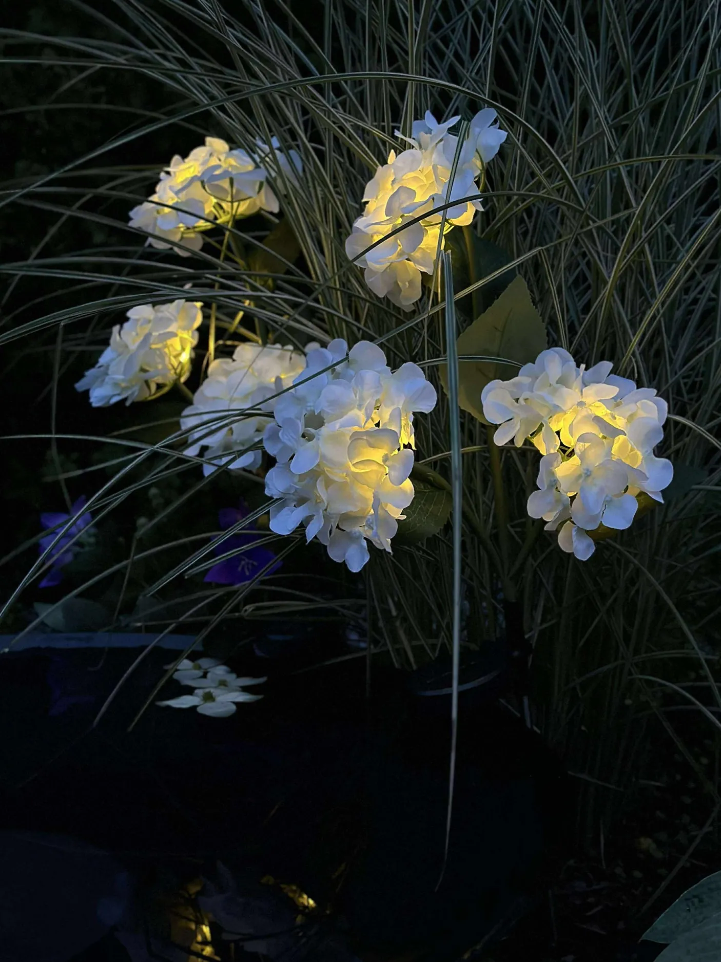 Hortensia med solceller - Hvid