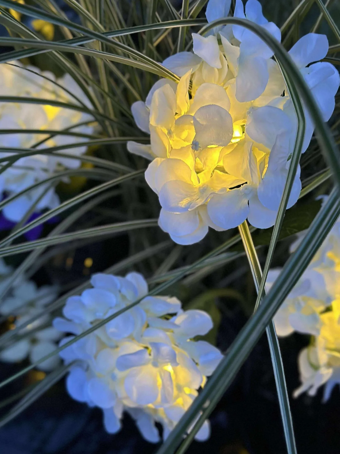 Hortensia med solceller - Hvid