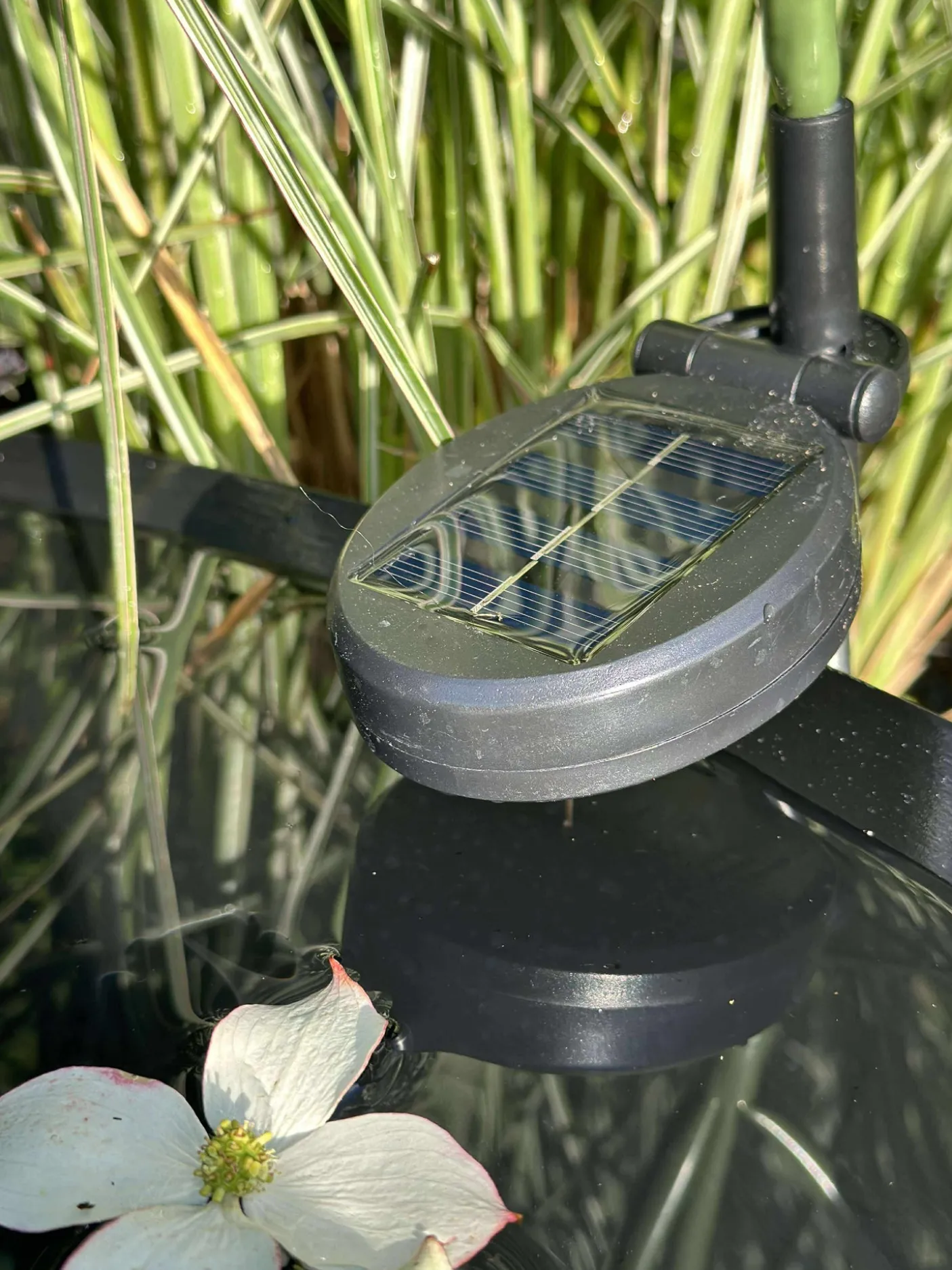 Hortensia med solceller - Hvid