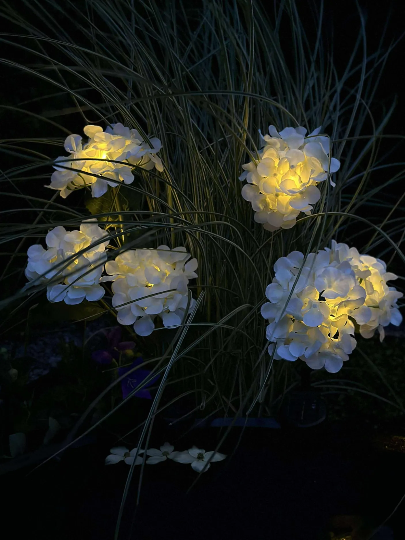 Hortensia med solceller - Hvid