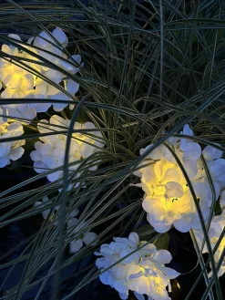 Hortensia med solceller - Hvid