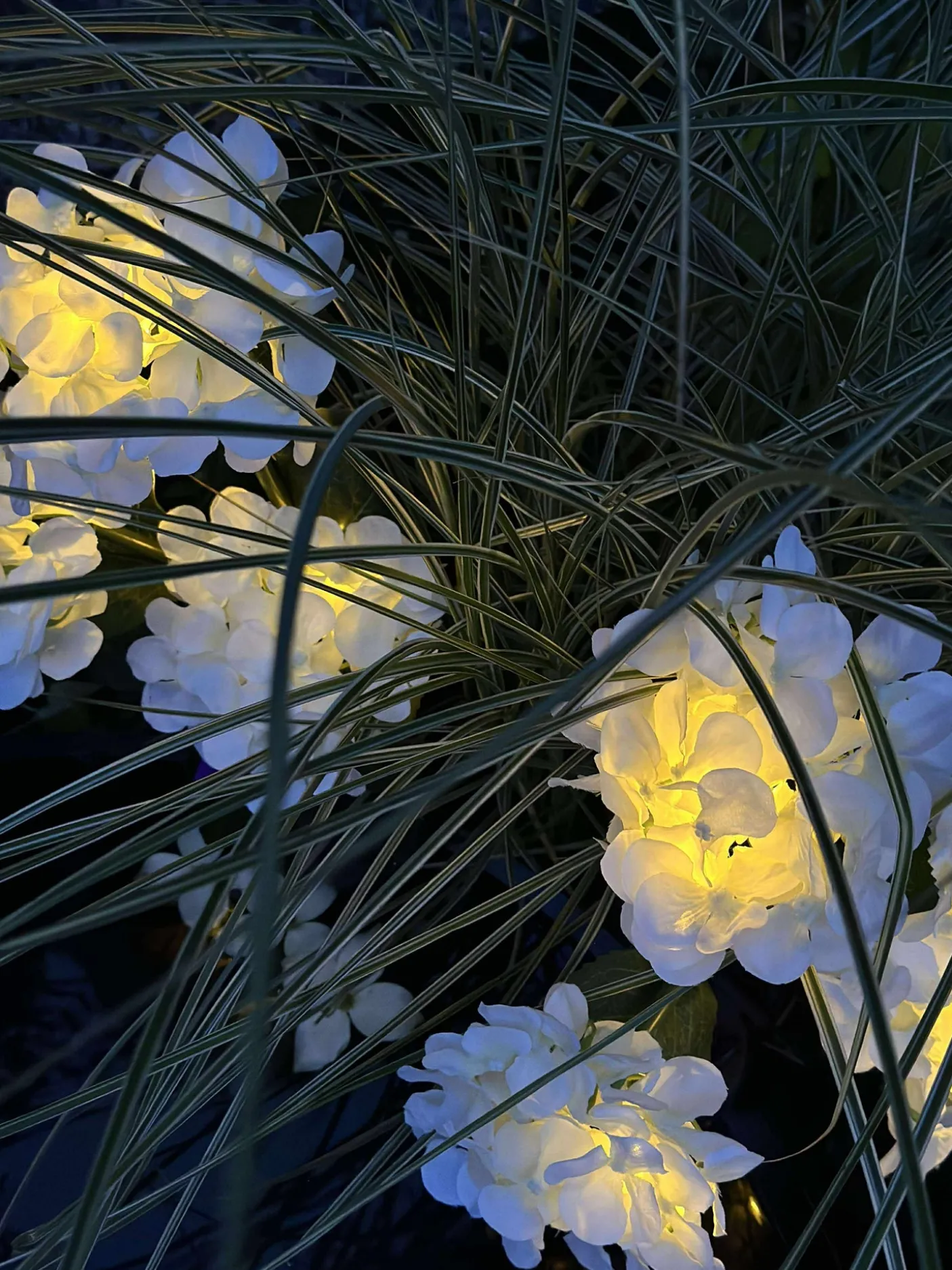 Hortensia med solceller - Hvid