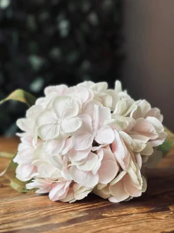 Hotensia – Sart lyserød