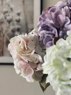 Hotensia – Sart lyserød