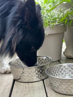 Hundeskål Rustfrit stål - Large