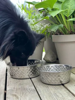 Hundeskål Rustfrit stål - Small