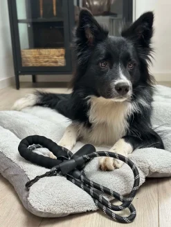 Hundesnor 1,5 meter med poseholder