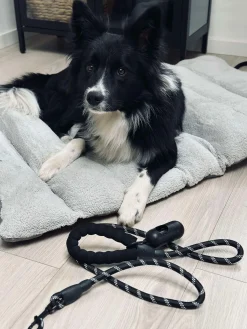 Hundesnor 1,5 meter med poseholder