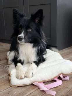 Hundetæppe - Foldbart