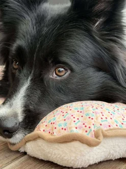 Hundetæppe - Foldbart