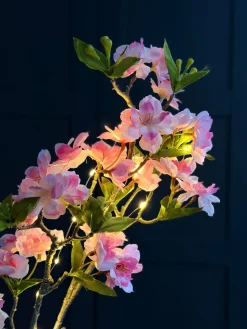 Japansk Kirsebærgren med lys - Rosa
