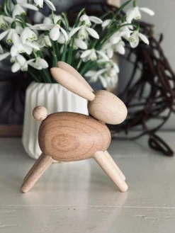 Kanin – Bøg lille