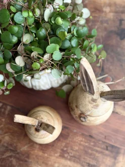 Kanin wood - Flere størrelser