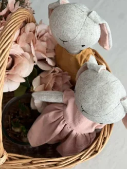 Kanindreng og Kaninpige