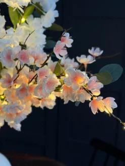 Kirsebærgren med lys - Rosa