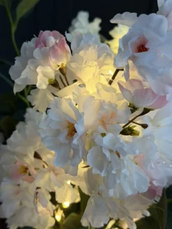 Kirsebærgren med lys - Rosa / hvid