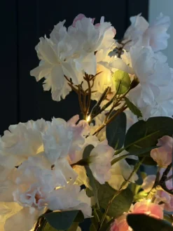 Kirsebærgren med lys - Rosa / hvid