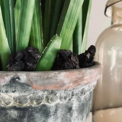 Kork bark til dekoration - Brændt