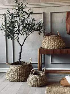 Kurve i søgræs - Sæt 3 stk