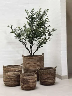 Kurve Natur - Sæt med 4 stk.