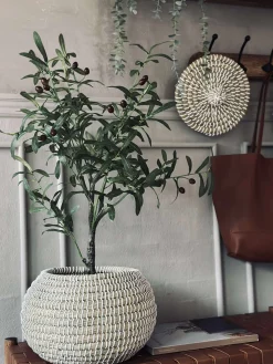 Kurve pumpkin shape - 2 stk.