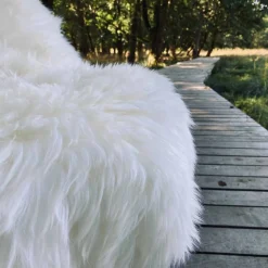 Lammeskind – Hvidt, tykt og vamset