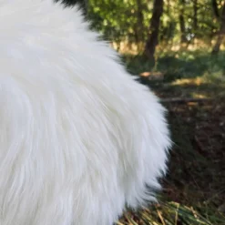 Lammeskind – Hvidt, tykt og vamset