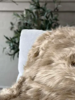 Lammeskind Taupe - 85x55cm