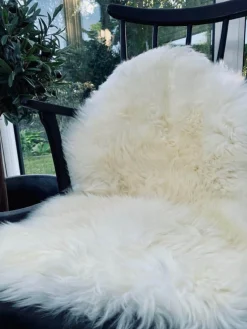 Lammeskind 85x55 – Hvid