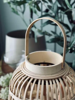 Lanterne JUDITH - Nature