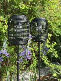 Lanterne på spyd Black - Solar