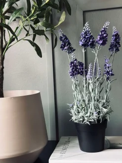 Lavendel 40cm - Mørk Lilla