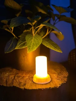 LED Flame – God til lanterner og græskar