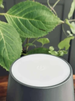 LED lampe til vinflaske - Grå MIX