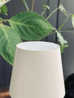 LED lampe til vinflaske - Creme MIX