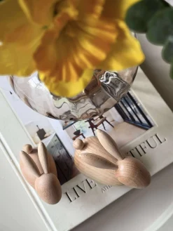 Liggende Kanin - Natur Lille