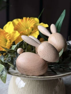 Liggende Kanin - Natur Lille