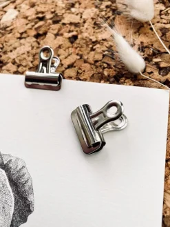 Lille Klemme – Sølv