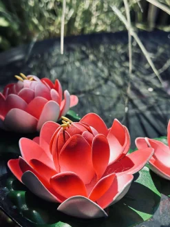 Lotus - Flere farver