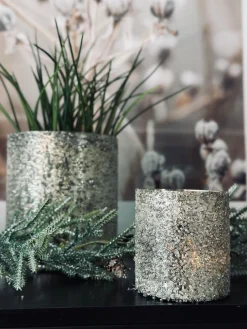 Lysestage - Champagne