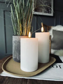 Lysfad / bakke Organisk Sennep Lille